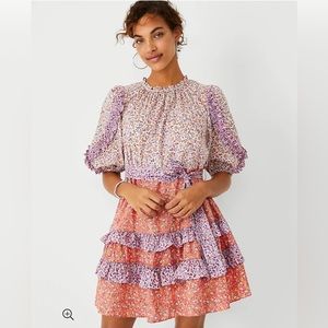 Ann Taylor Floral Ruffle Flare Dress